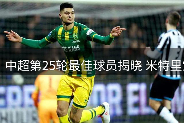 中超第25轮最佳球员揭晓 米特里策三射一传闪耀全场