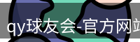 qy球友会
